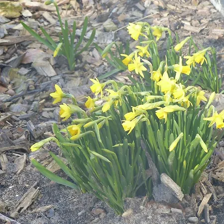 Kristiansminde Farm Tistrup