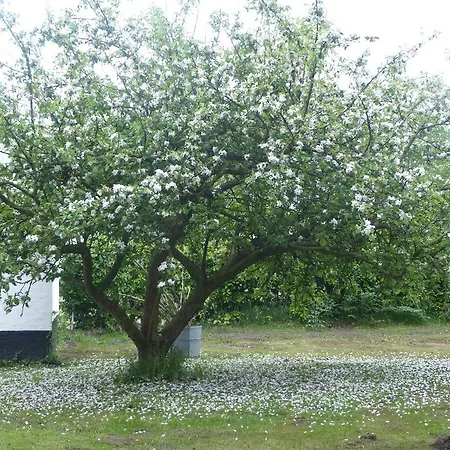 Kristiansminde Farm Bauernhof *