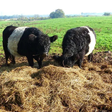 Kristiansminde Farm * Tistrup